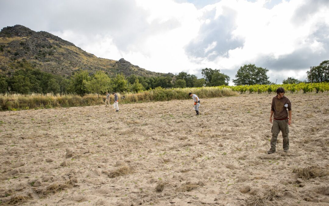 Archaeological Fieldwork: Exploring Mountain Society in Guarda (Portugal) with the GAP project